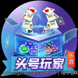 电子游戏中的安全隐私保护措施研究